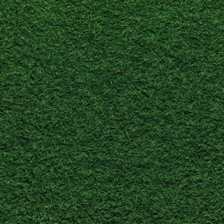Grassy Stone Pavers + Grass