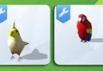 Bunch of Birds Set