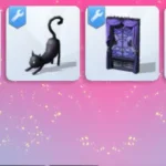 Black Cat Set