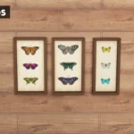 Framed Butterflies