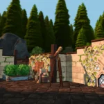 Rock Ridge Canyon Makeover