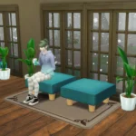 Cozy Book Shop Set