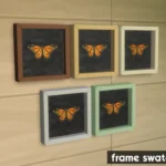 Framed Butterflies