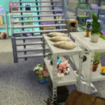 Two shop Magnolia no cc