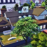 Veterinary Clinic