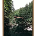 Autumn forest wall prints