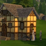 Settlers Old Town 3 Build: Doors & Windows -Cleanliness set