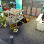 Two shop Magnolia no cc