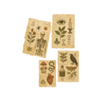 Witchcrafts Manuscripts