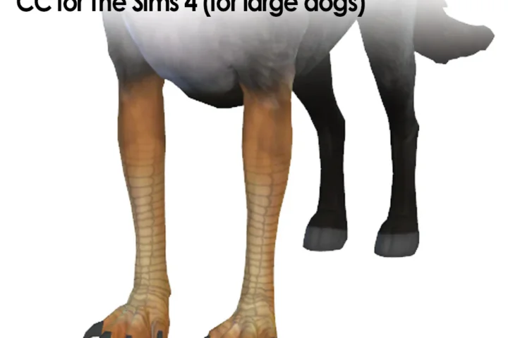 Claws and Hoofs