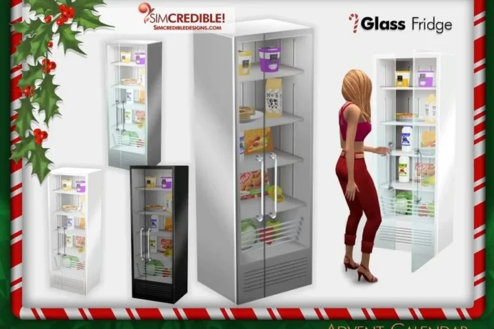 Advent Calendar 🎁 Day 7 - Functional Glass Fridge