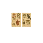 Witchcrafts Manuscripts