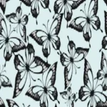 Butterfly Walls