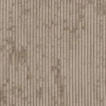 Carpet Floor 4