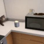 Instacook microwave