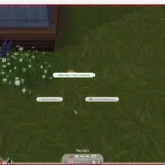 Collectibles Spawner