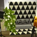 Newcrest Photo Studio NO CC