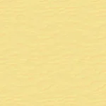Textured Color Walls