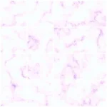 Marble Floor Tiles 1