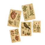 Witchcrafts Manuscripts
