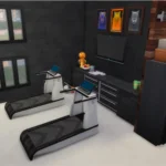 Modern Contemporary House