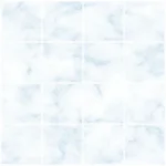 Marble Floor Tiles 1