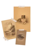 Paper Memories
