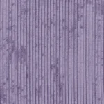 Carpet Floor 4