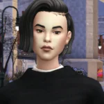 Winter City - Noella Hair