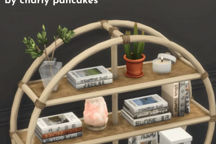 MISCELLANEA - bookcase, decor & clutter - by charly pancakes