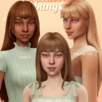 Accessory bangs