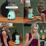 Functional Blender and Protein Shakes