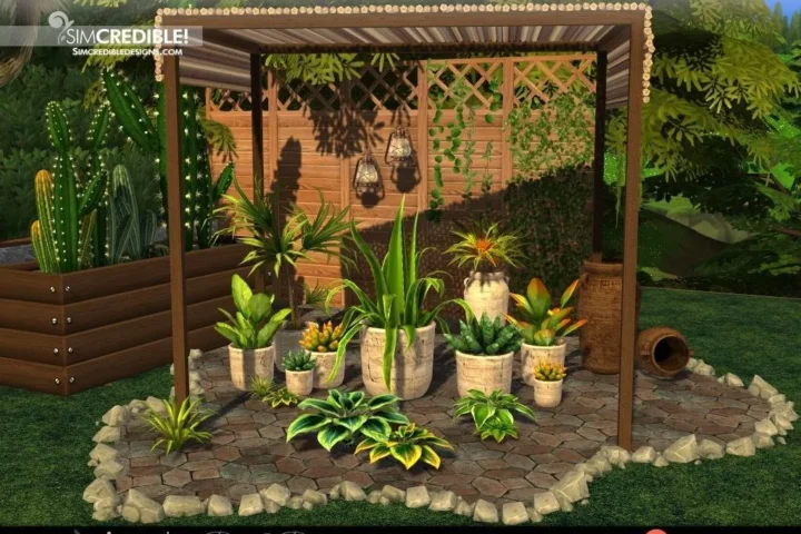 Agreste Plants 🏜️
