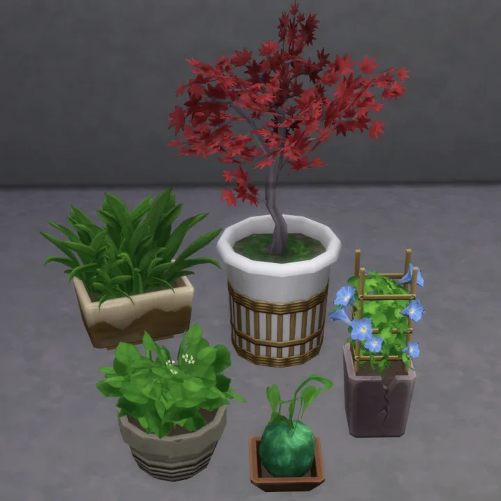 Amys Garden Plants