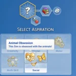 Child Aspirations Bundle