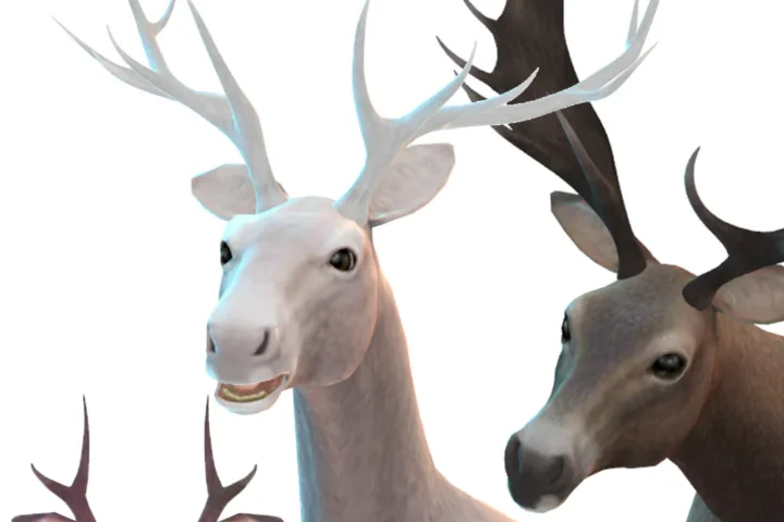 Antlers for Horses