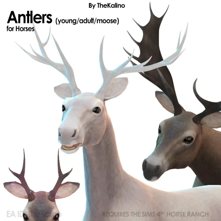 Antlers for Horses