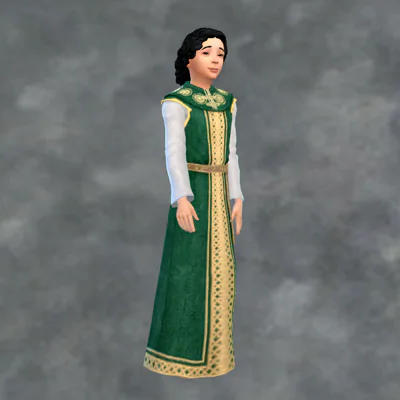 TSM Aristocrat Long Tunic Sword or No Sword