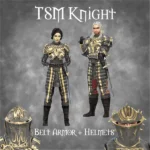 TSM Knight Belt Armor for male adults - with matching helmet
