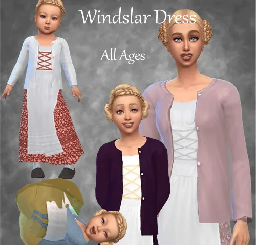 Windslar Dress with Sweater
