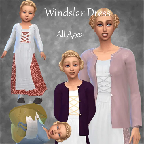 Windslar Dress with Sweater