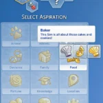 Baker Aspiration