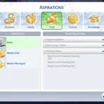 Baker Aspiration
