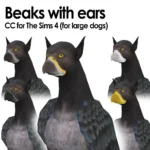 Beaks with/out ears