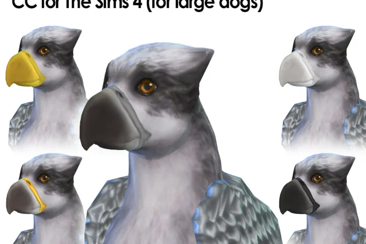 Beaks with/out ears