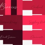 Coolors Custom Palette Wallpapers - Berries