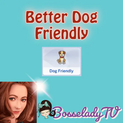 Better Dog Friendly