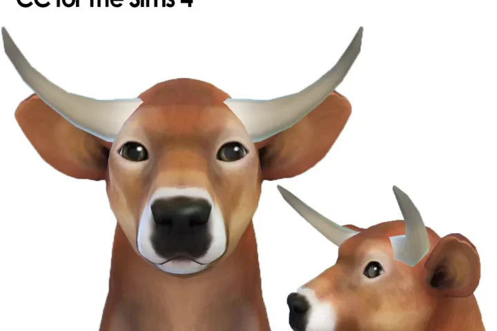Big Cow Horns