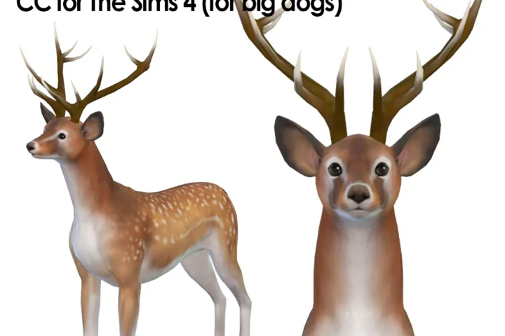 Antlers