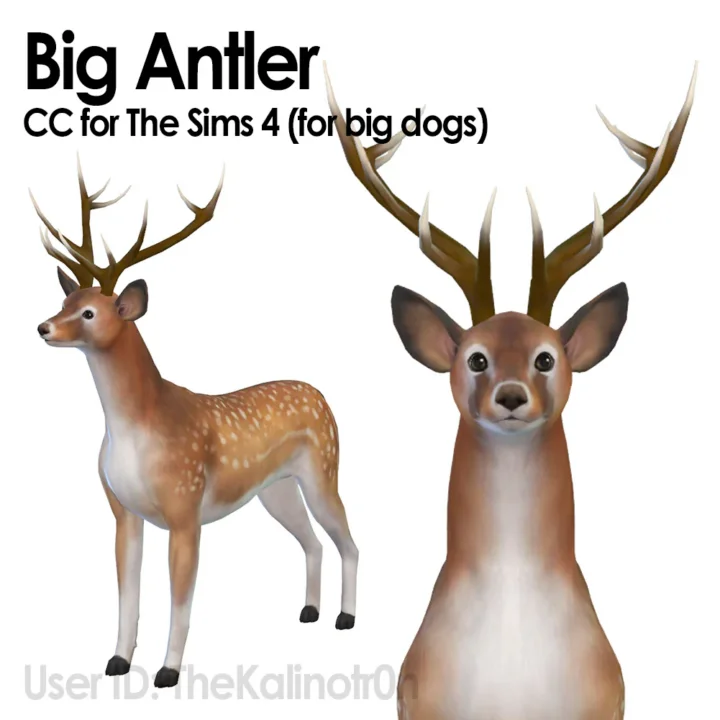 Antlers